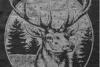 Go Radio - Ornate Deer